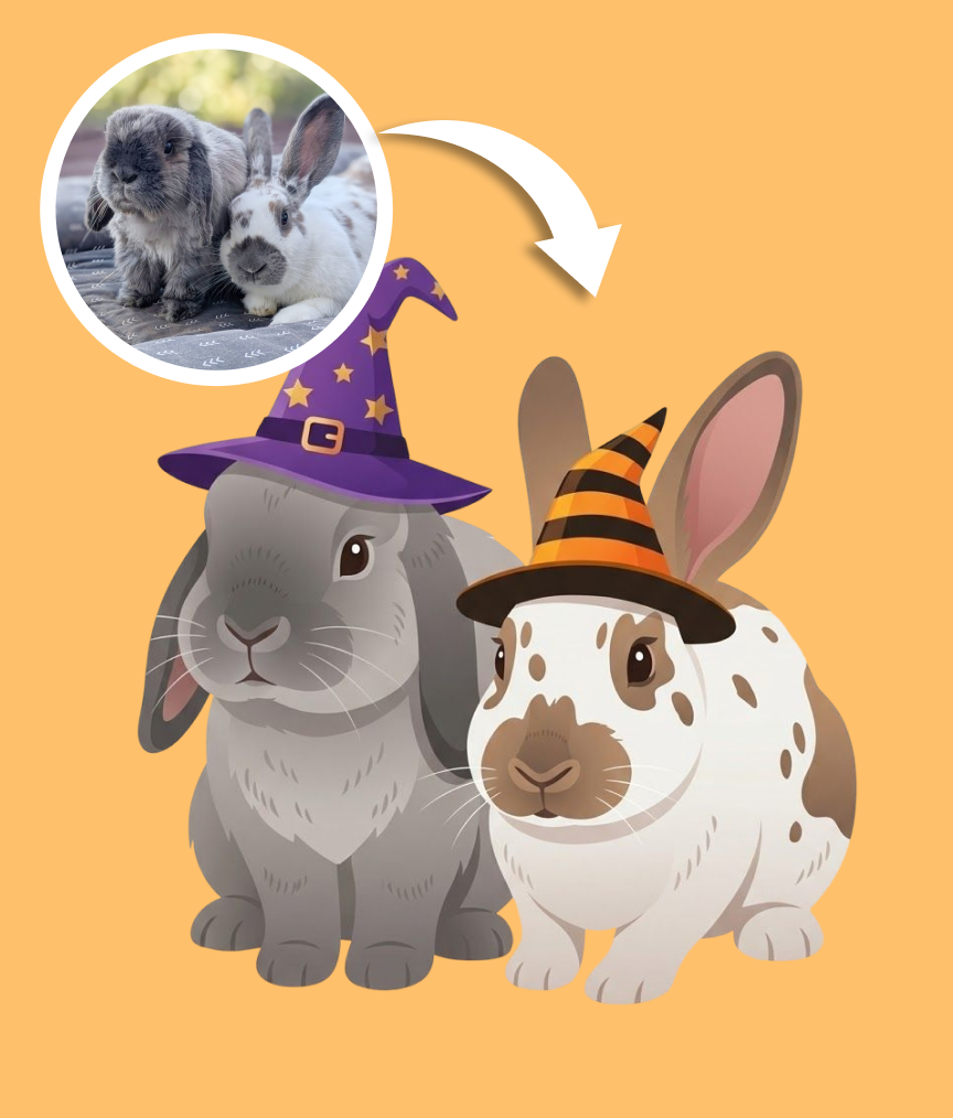Creative Pet Portrait