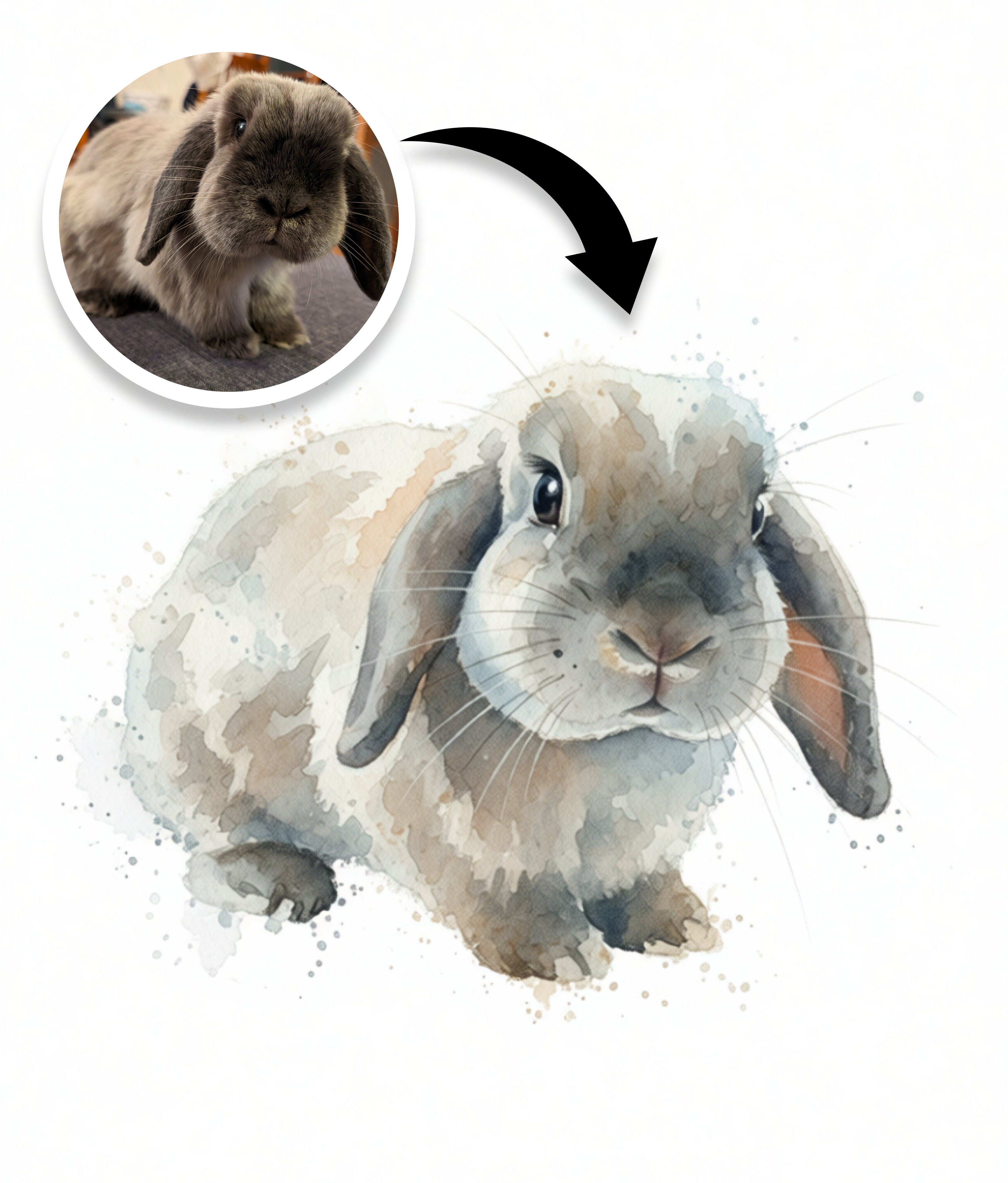 Classic Pet Portrait