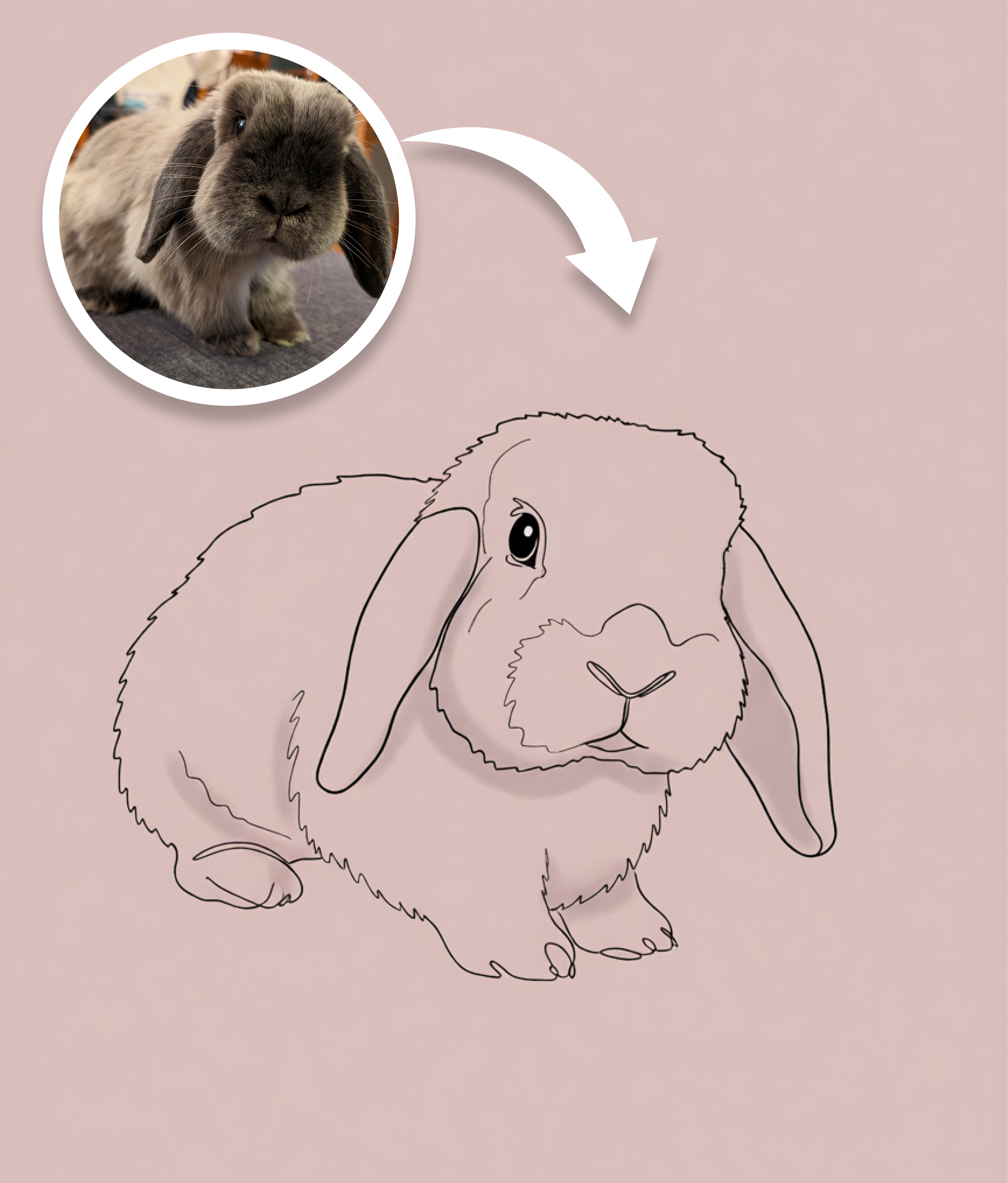 Classic Pet Portrait