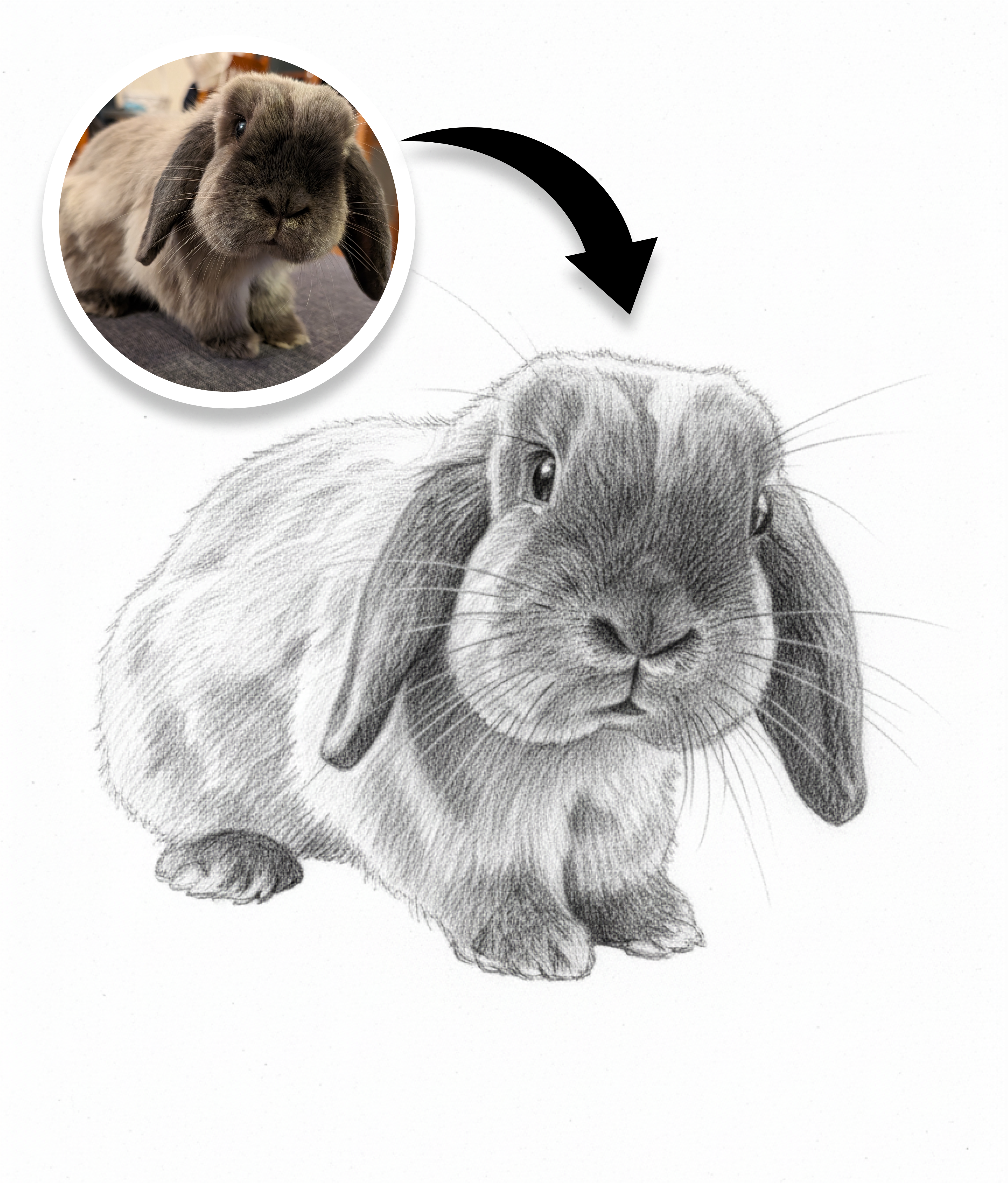 Classic Pet Portrait